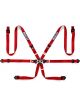 Sparco Belt 6 Pnt 2in Pd Red