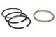 Hastings Piston Rings 3.998