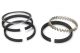 Hastings Piston Rings 2.750