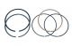 Mahle Pistons Rings 4.155