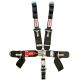 Simpson Safety Harness 5 Point Latch and Link SFI 16.1 62