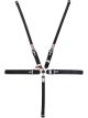 Simpson Safety Harness 5 Point Camlock SFI 16.1 55