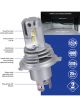 Narva H7 Surefit LED Globes