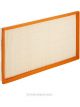Ryco Air Filter