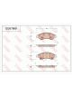 TRW DTEC Brake Pads