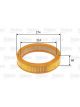 Valeo Air Filter