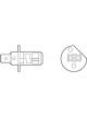 Valeo Bulb Spotlight 12V H1 55W P14,5s