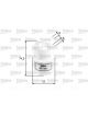 Valeo Fuel Filter