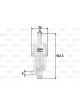 Valeo Fuel Filter