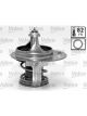 Valeo Thermostat Coolant