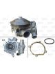 Valeo Water Pump