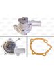 Valeo Water Pump Engine Cooling