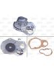 Valeo Water Pump Engine Cooling
