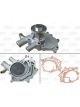Valeo Water Pump Engine Cooling