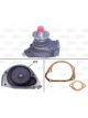 Valeo Water Pump Engine Cooling