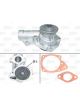 Valeo Water Pump Engine Cooling