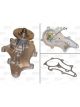 Valeo Water Pump Engine Cooling