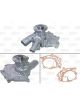 Valeo Water Pump Engine Cooling