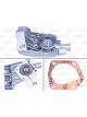 Valeo Water Pump Engine Cooling