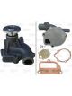 Valeo Water Pump Engine Cooling