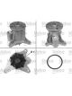 Valeo Water Pump Engine Cooling