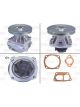 Valeo Water Pump Engine Cooling
