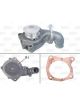 Valeo Water Pump Engine Cooling