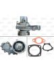 Valeo Water Pump Engine Cooling