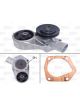 Valeo Water Pump Engine Cooling