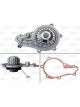 Valeo Water Pump Engine Cooling