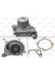 Valeo Water Pump Engine Cooling