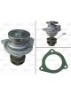 Valeo Water Pump Engine Cooling