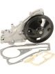 Valeo Water Pump Engine Cooling