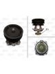 Valeo Water Pump w/o Cover with Belt Pulley with Gaskets/Seals