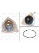Valeo Water Pump w/o Cover with Belt Pulley with Gaskets/Seals