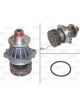 Valeo Water Pump Engine Cooling