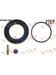 Valeo FTE Brake Caliper Repair Kit