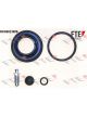 Valeo FTE Brake Caliper Repair Kit