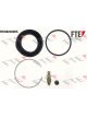Valeo FTE Brake Caliper Repair Kit