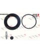 Valeo FTE Brake Caliper Repair Kit