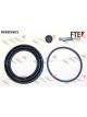 Valeo FTE Brake Caliper Repair Kit