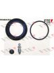 Valeo FTE Brake Caliper Repair Kit