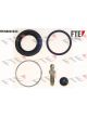 Valeo FTE Brake Caliper Repair Kit