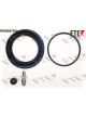 Valeo FTE Brake Caliper Repair Kit