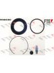 Valeo FTE Brake Caliper Repair Kit