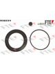 Valeo FTE Brake Caliper Repair Kit