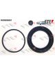 Valeo FTE Brake Caliper Repair Kit