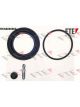 Valeo FTE Brake Caliper Repair Kit