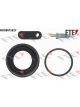 Valeo FTE Brake Caliper Repair Kit