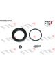 Valeo FTE Brake Caliper Repair Kit